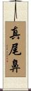 真尾鼻 Scroll