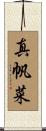 真帆菜 Scroll