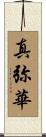 真弥華 Scroll