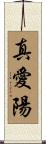 真愛陽 Scroll