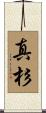 真杉 Scroll