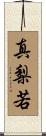 真梨若 Scroll