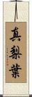 真梨葉 Scroll