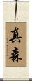真森 Scroll