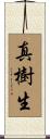 真樹生 Scroll