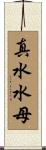 真水水母 Scroll