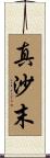 真沙末 Scroll