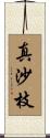 真沙枝 Scroll