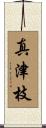 真津枝 Scroll