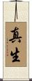 真生 Scroll