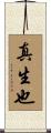 真生也 Scroll