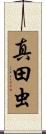 真田虫 Scroll
