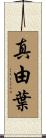 真由葉 Scroll