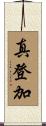 真登加 Scroll