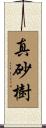 真砂樹 Scroll