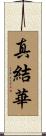 真結華 Scroll