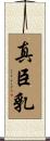 真臣乳 Scroll