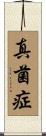 真菌症 Scroll