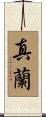 真蘭 Scroll