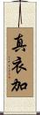 真衣加 Scroll