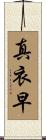 真衣早 Scroll