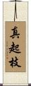 真起枝 Scroll
