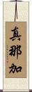 真那加 Scroll