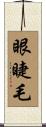眼睫毛 Scroll