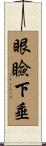眼瞼下垂 Scroll