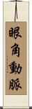 眼角動脈 Scroll