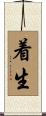 着生 Scroll