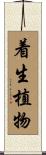 着生植物 Scroll