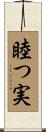 睦つ実 Scroll