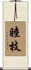 睦枝 Scroll