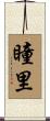 瞳里 Scroll