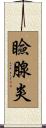 瞼腺炎 Scroll
