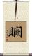 矙 Scroll