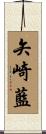 矢崎藍 Scroll