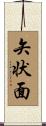 矢状面 Scroll