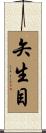 矢生目 Scroll