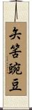 矢筈豌豆 Scroll