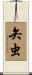 矢虫 Scroll