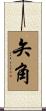 矢角 Scroll