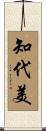 知代美 Scroll