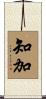 知加 Scroll