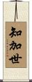 知加世 Scroll