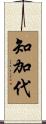 知加代 Scroll