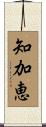 知加恵 Scroll