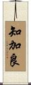 知加良 Scroll