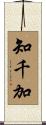 知千加 Scroll